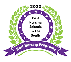 Best Nursing Schools in the South in 2023 (Online & On-Campus)